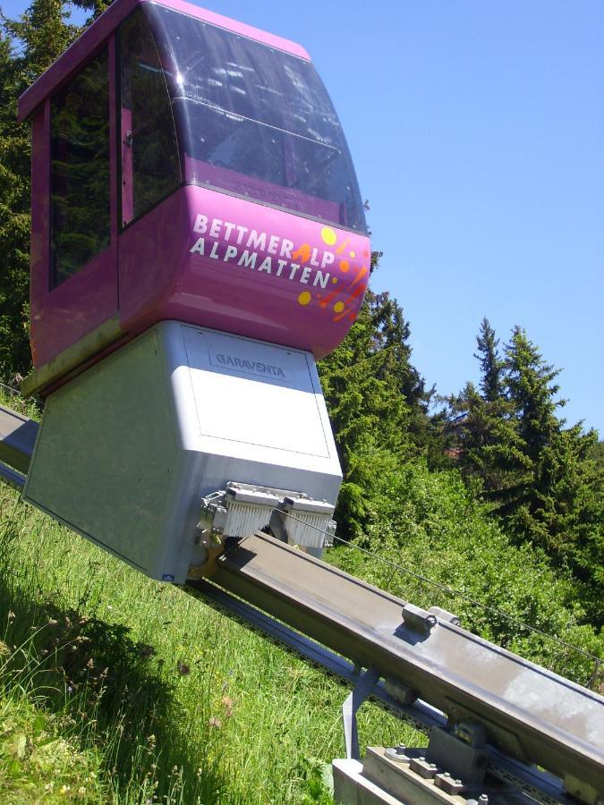 Lorli Διαμέρισμα Bettmeralp Εξωτερικό φωτογραφία