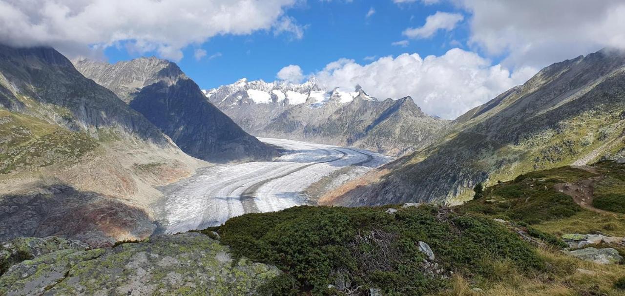 Lorli Διαμέρισμα Bettmeralp Εξωτερικό φωτογραφία